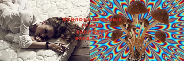 герыч Покачи