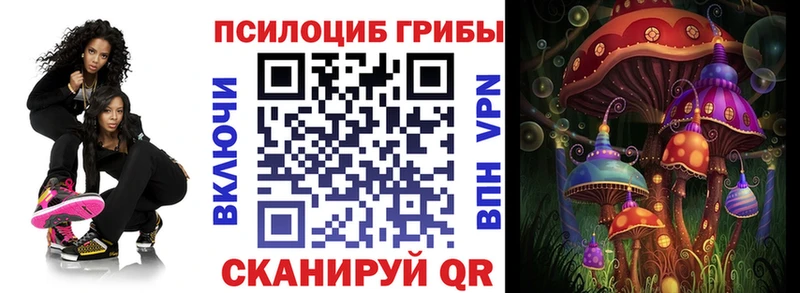 Псилоцибиновые грибы Psilocybine cubensis Усолье